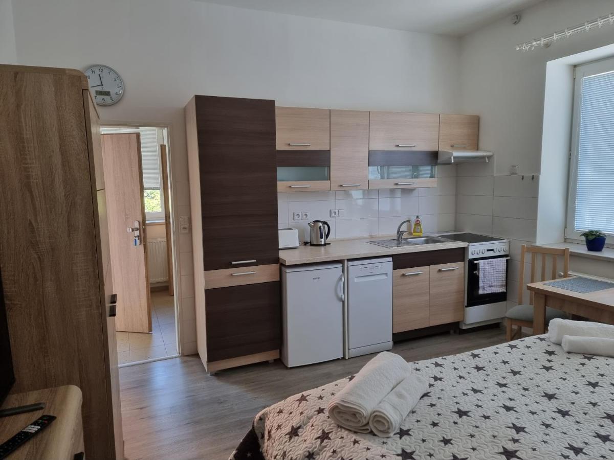 Apartment Garsoniera Dukla 289